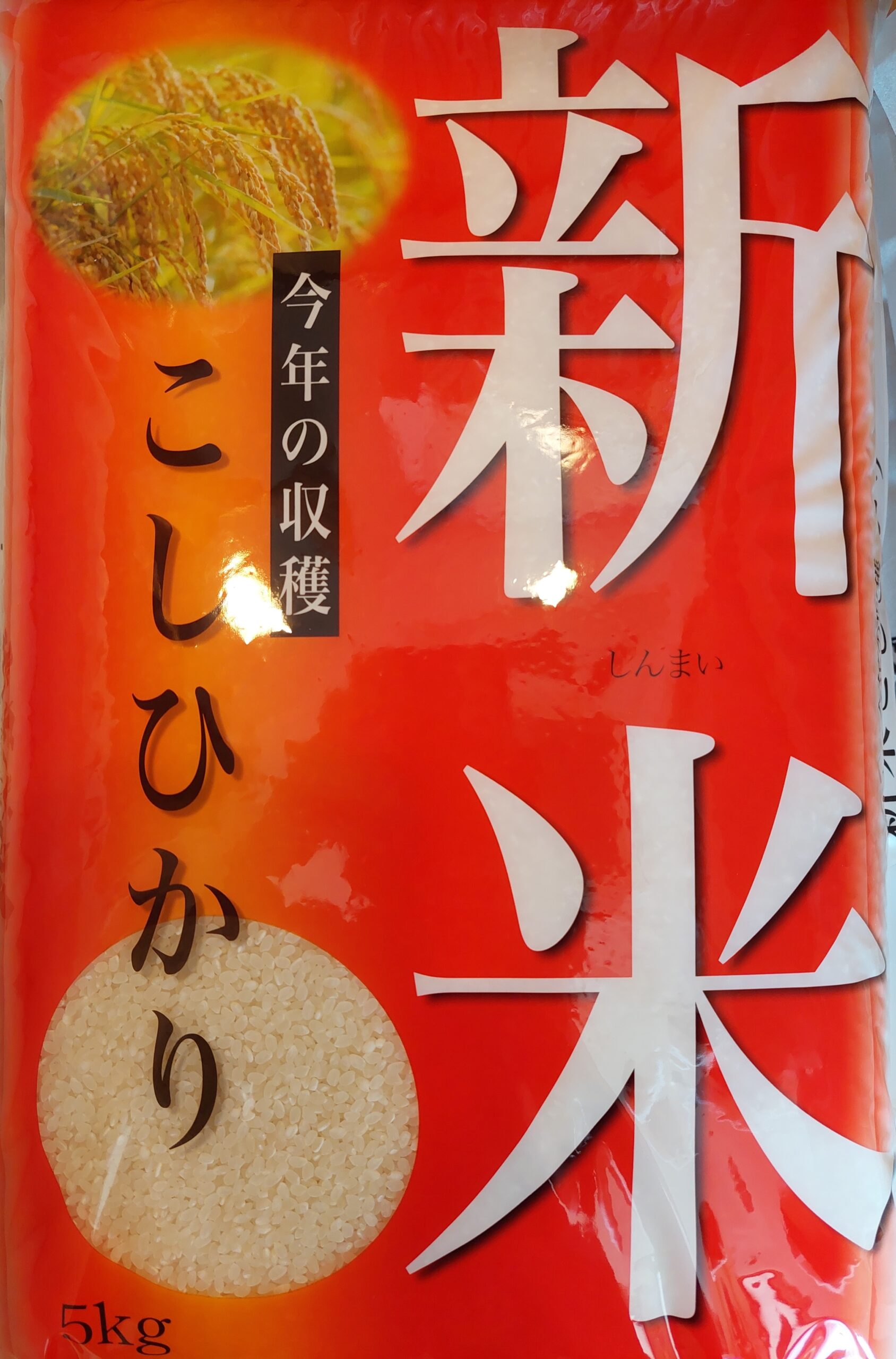 コシヒカリ　新米25キロ　玄米　小粒　宮崎県産　送料込み